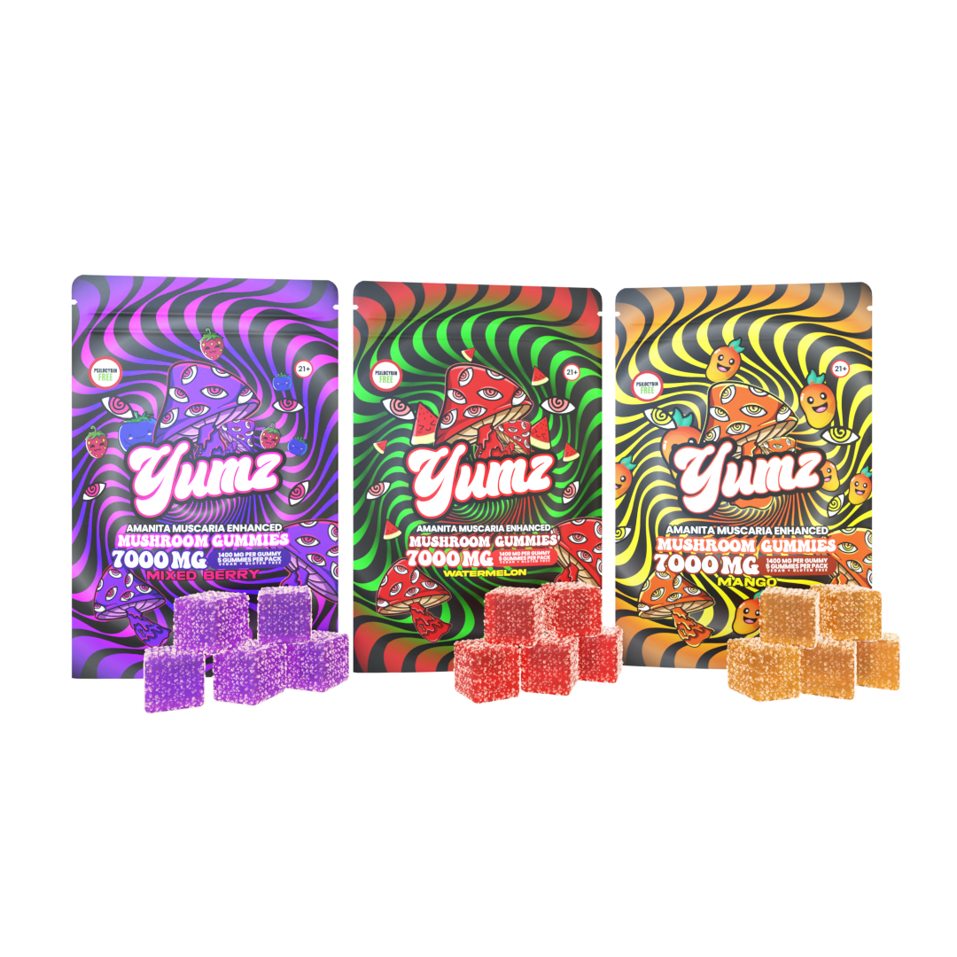 YUMZ - Magic Nootropic Gummies ( Bundle )